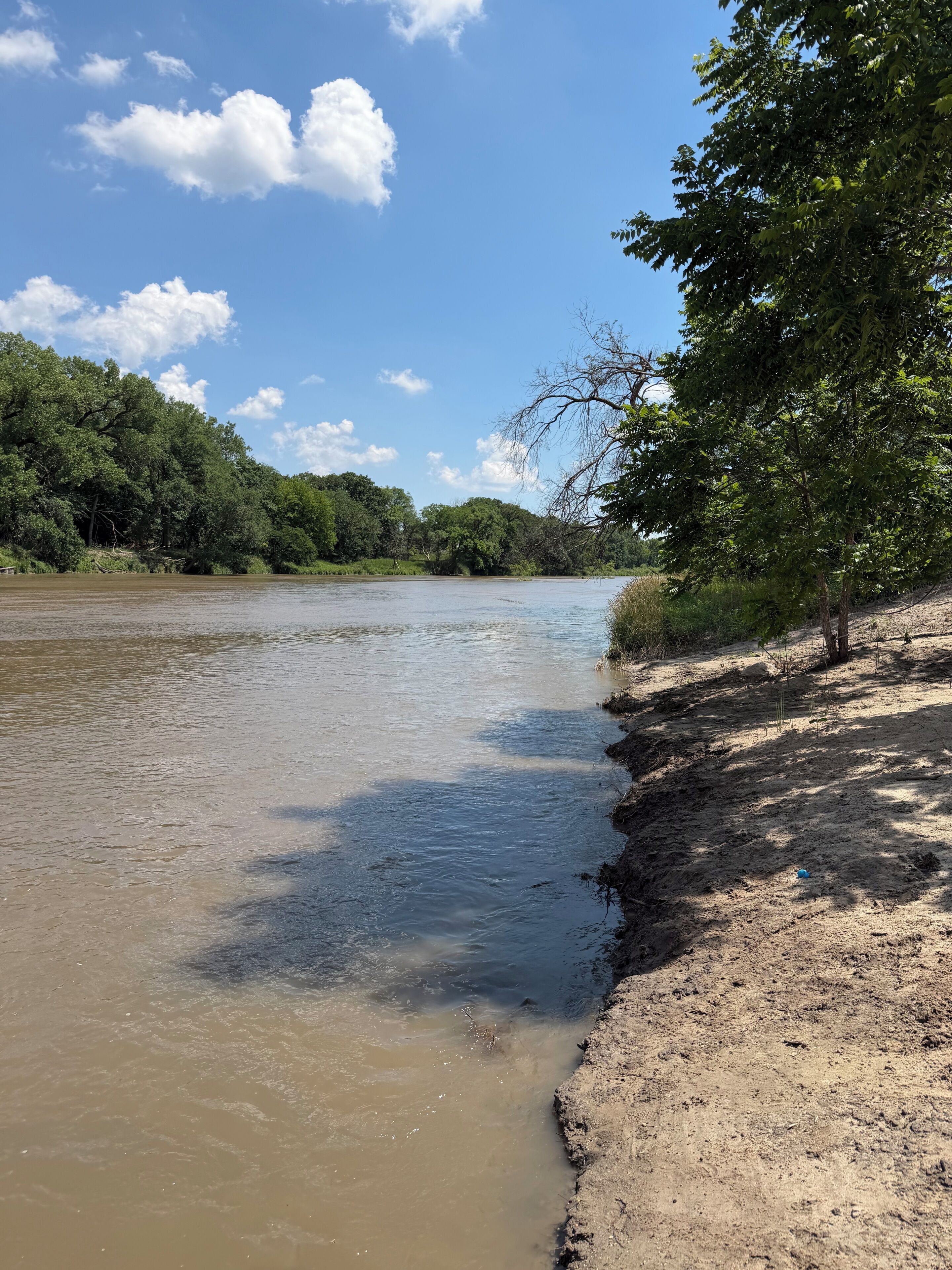 Une rivière dont les berges sont sablonneuses et qui est bordée d’une végétation luxuriante d’un côté.