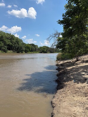 Un río con orilla arenosa y densa vegetación a un lado.