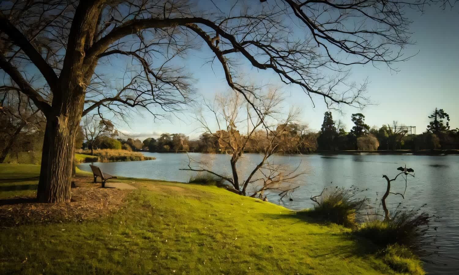 Un parc avec un lac, des bancs et des arbres.