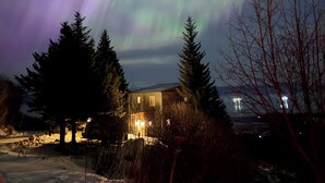 Une maison dont le sol est recouvert de neige, entourée d’arbres, sous un ciel nocturne illuminé par des aurores boréales.