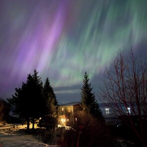 Exterior - Quaint 2-bedroom bungalow perched above Homer and Kachemak Bay. (Homer)