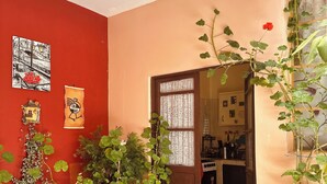 Una habitación con pared roja, puerta de madera y varias plantas en macetas.