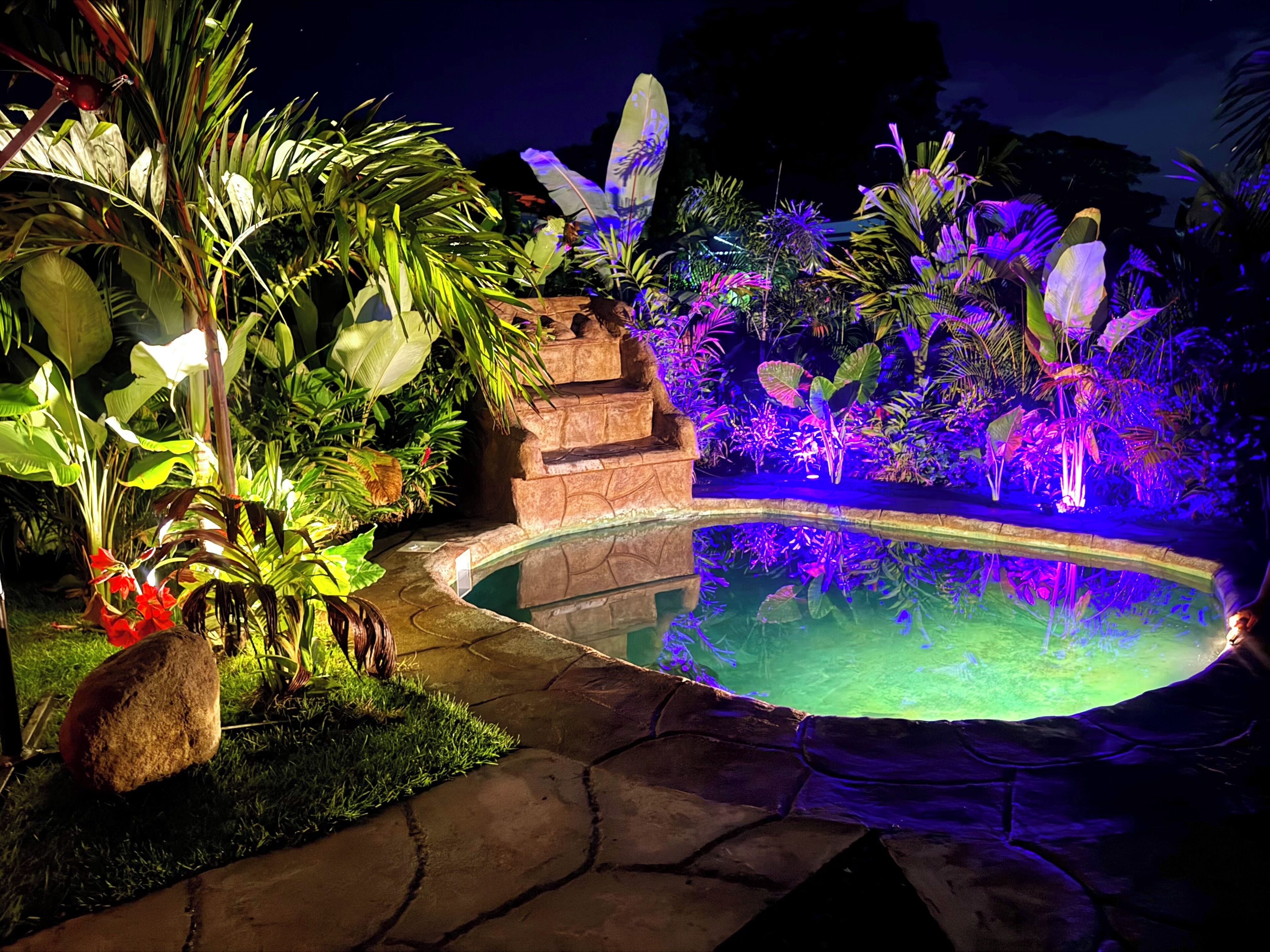 Un espace piscine aménagé pour la nuit, avec des marches en pierre et des plantes tropicales.