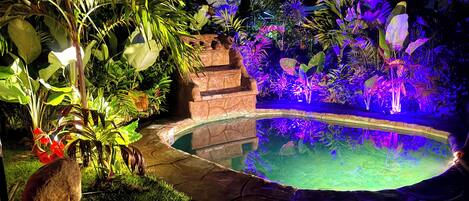 Un espace piscine aménagé pour la nuit, avec des marches en pierre et des plantes tropicales.