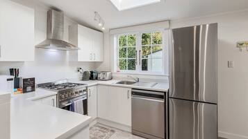 A modern kitchen with a skylight, stainless steel appliances, and a window with a view of greenery.
