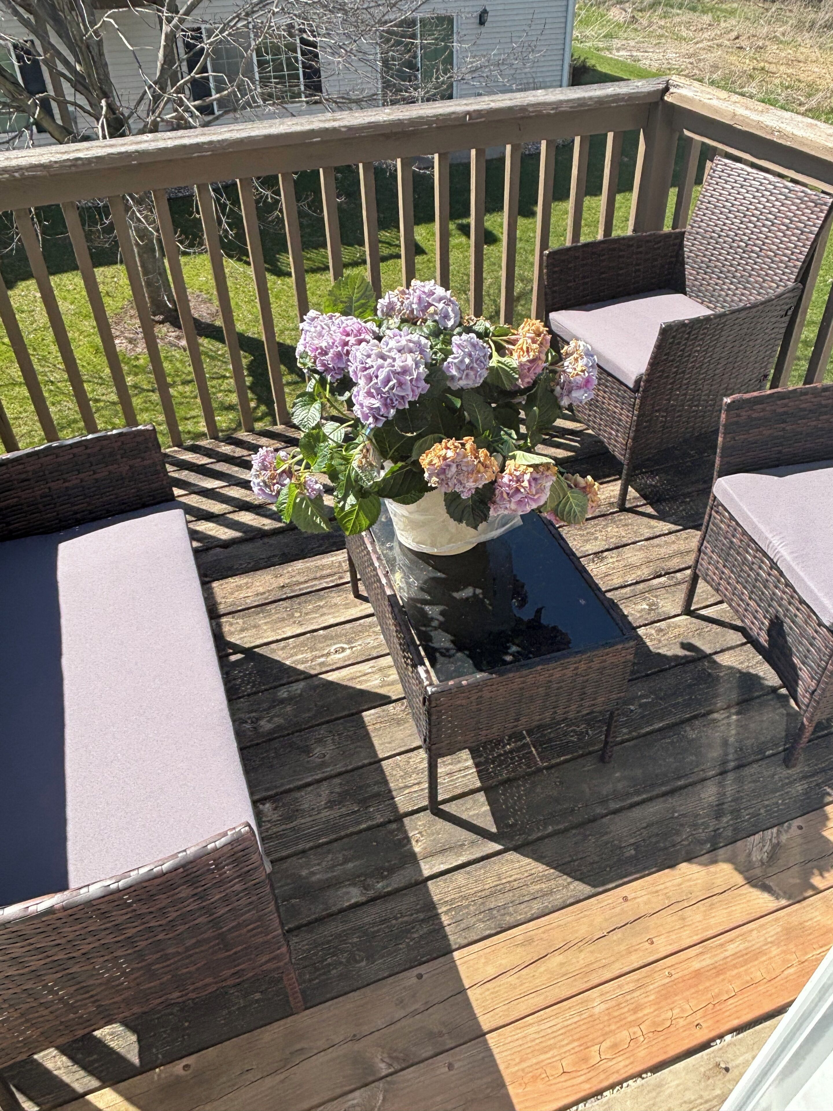 Terrace/patio