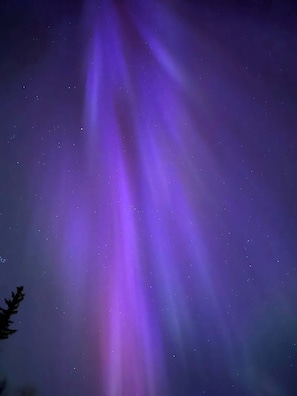 Un ciel nocturne illuminé par des aurores boréales.