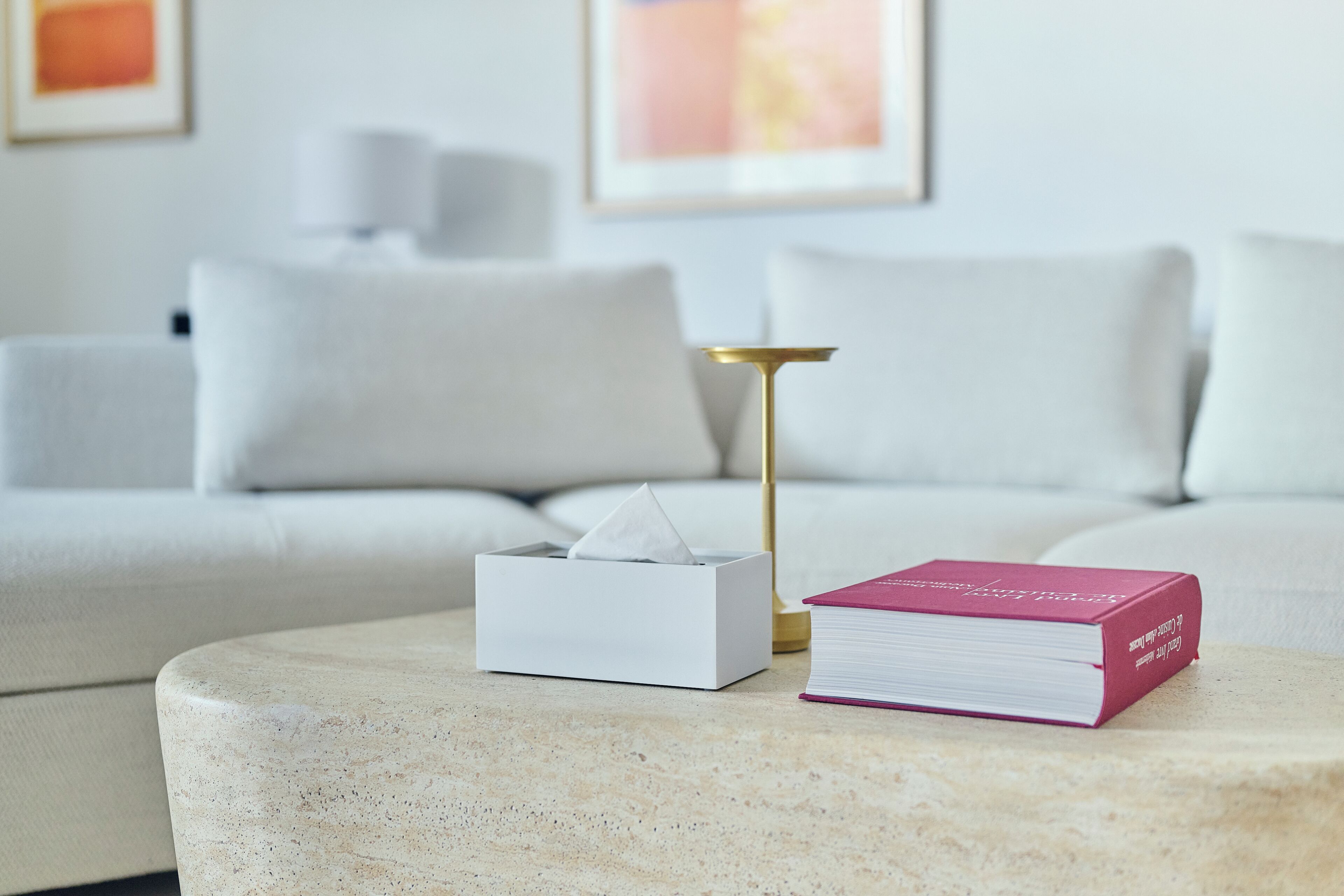 奢华别墅 | 起居区