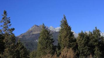 A mountain with a clear sky, surrounded by trees.