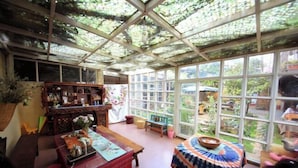 A room with a large glass ceiling, wooden furniture, and a view of greenery outside. - Leisure Inn Lijiang (Yulong)