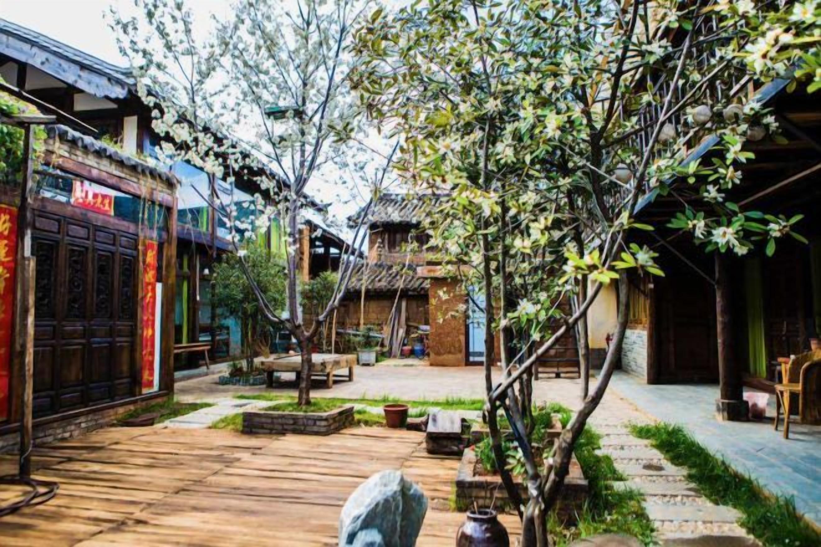 Un patio con arquitectura tradicional, senderos de piedra y un árbol en el centro.