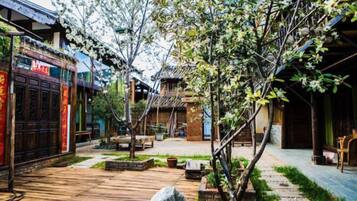 Un patio con arquitectura tradicional, senderos de piedra y un árbol en el centro.