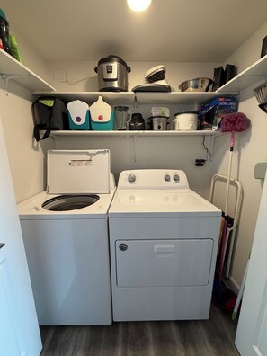 Interior - Lakefront Oasis w/ Balcony Views + Cozy Modern Vibes (Village of Four Seasons)