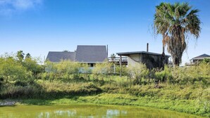 A residential area with houses, a palm tree, and a pond. - Over The Rainbow 3 Bedroom Home (Port Bolivar)