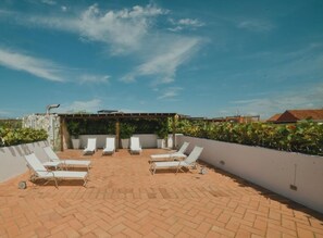 Terras