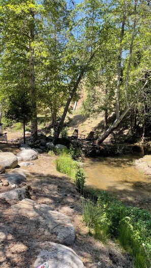 Property grounds - Perfect 4-bedroom cabin in beautiful California Hot Springs (California Hot Springs)