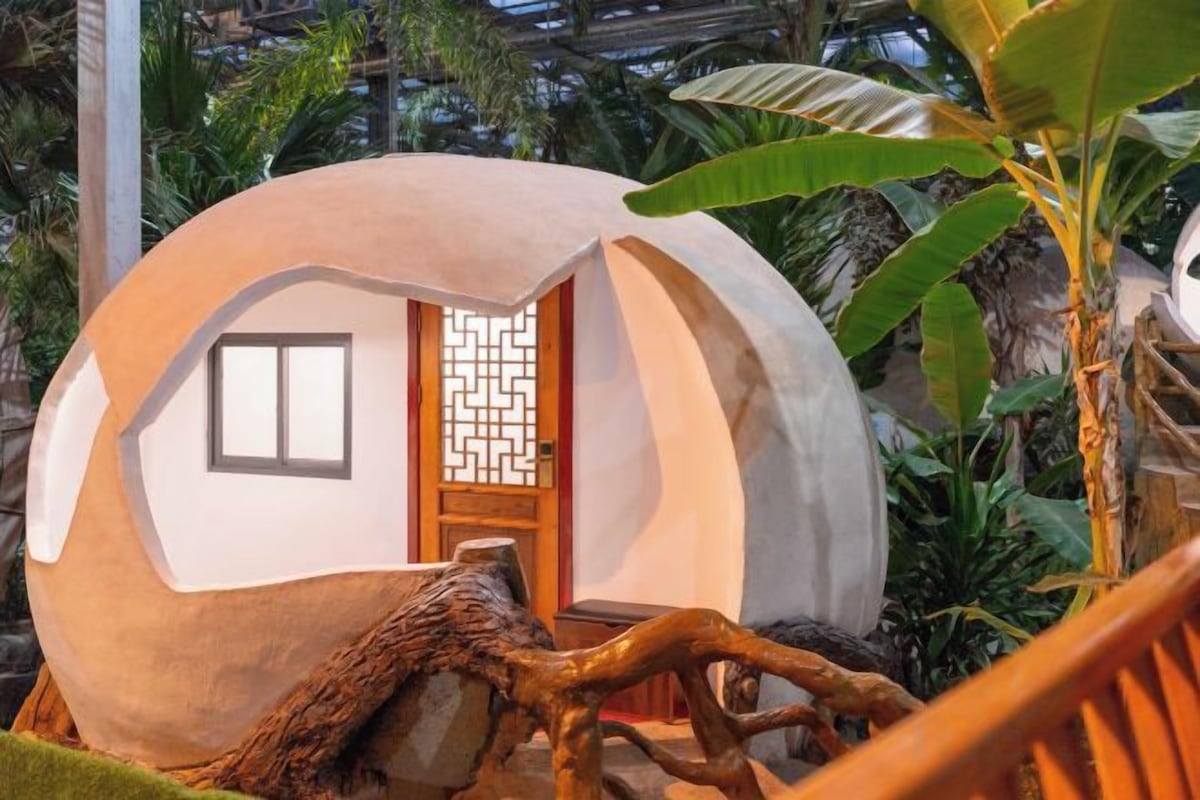 A spherical structure with a door and window, surrounded by tropical vegetation.