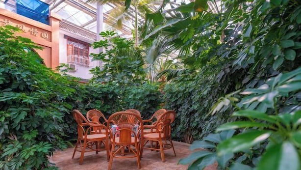 Un espace patio aménagé avec des chaises et une table en osier, entouré d’une végétation luxuriante et bordé d’un bâtiment à l’architecture traditionnelle.