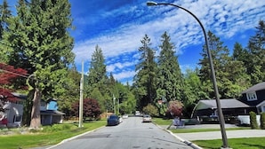 A suburban street with houses, trees, and parked cars.