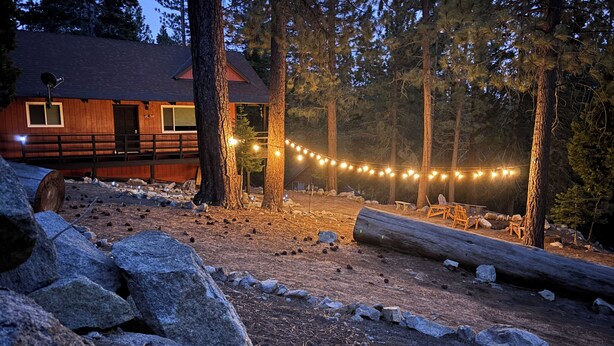 Une cabane aux murs en bois, entourée d’arbres, avec une bûche au premier plan.