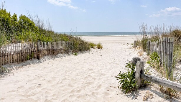 A sandy beach path leading to the ocean, flanked by wooden fences and vegetation. - 9BR Sleeps 19 - 1 Block to Beach - Ocean Views! (Ventnor City)