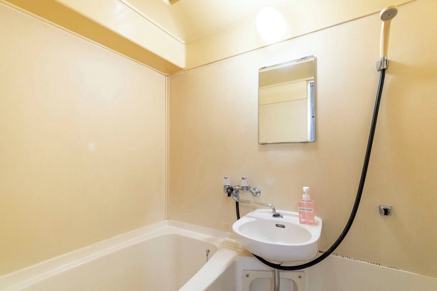 A bathroom with a bathtub, a sink, a handheld showerhead, and a hand soap dispenser.
