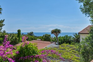 Ein Küstenanwesen mit Meerblick, umgeben von üppiger Vegetation und blühenden Pflanzen.