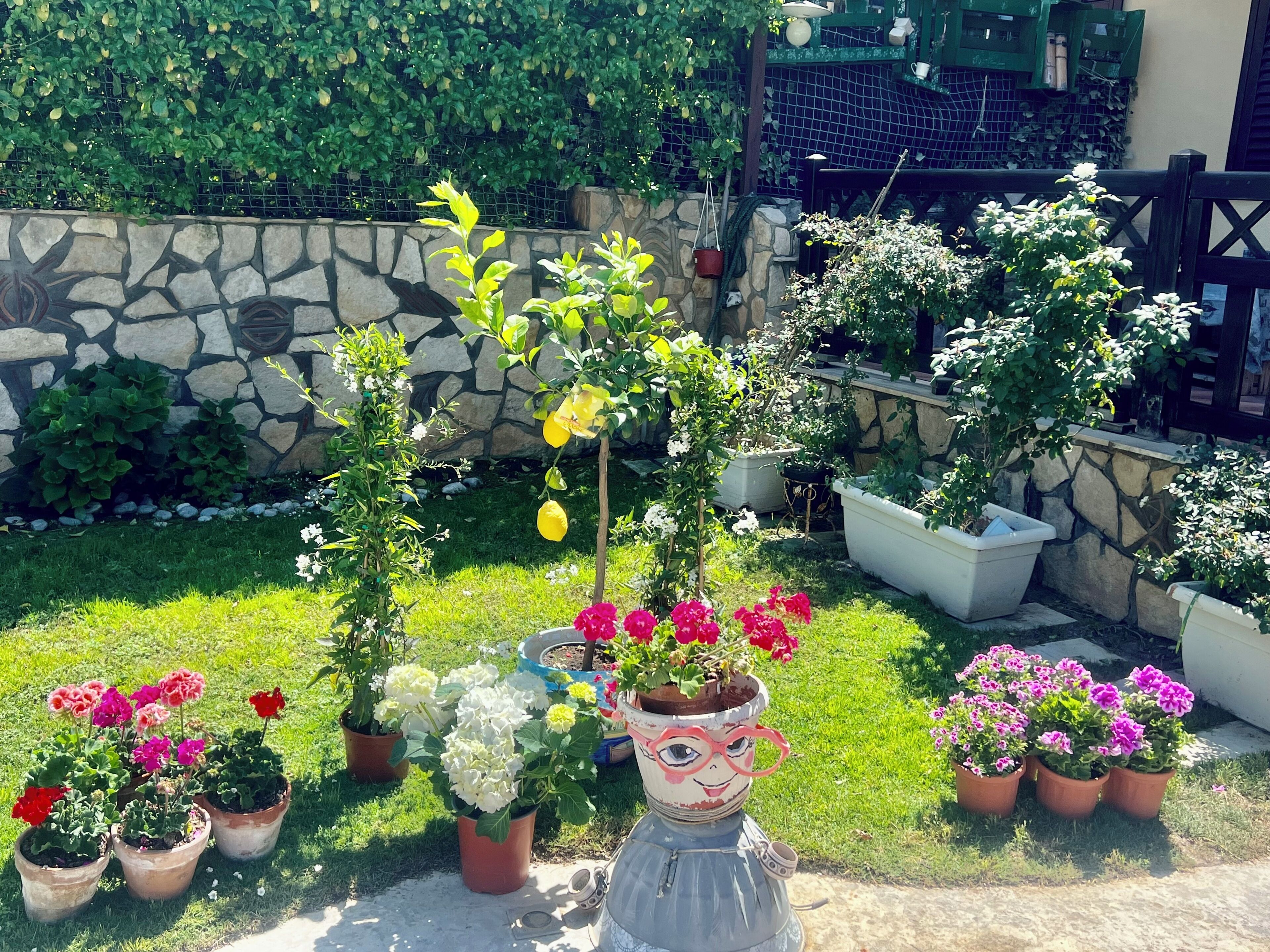 Jardines del alojamiento