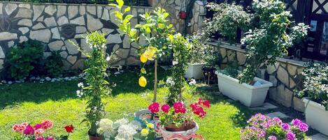 Jardines del alojamiento