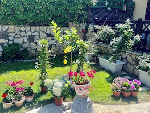 A garden with potted plants and a stone wall. - Beach house near the airport with possibility of electric car (Carini)