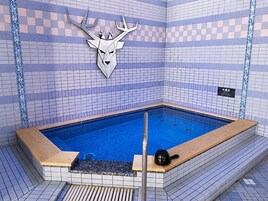 Una piscina con muelle de madera y un ciervo montado como adorno en la pared.