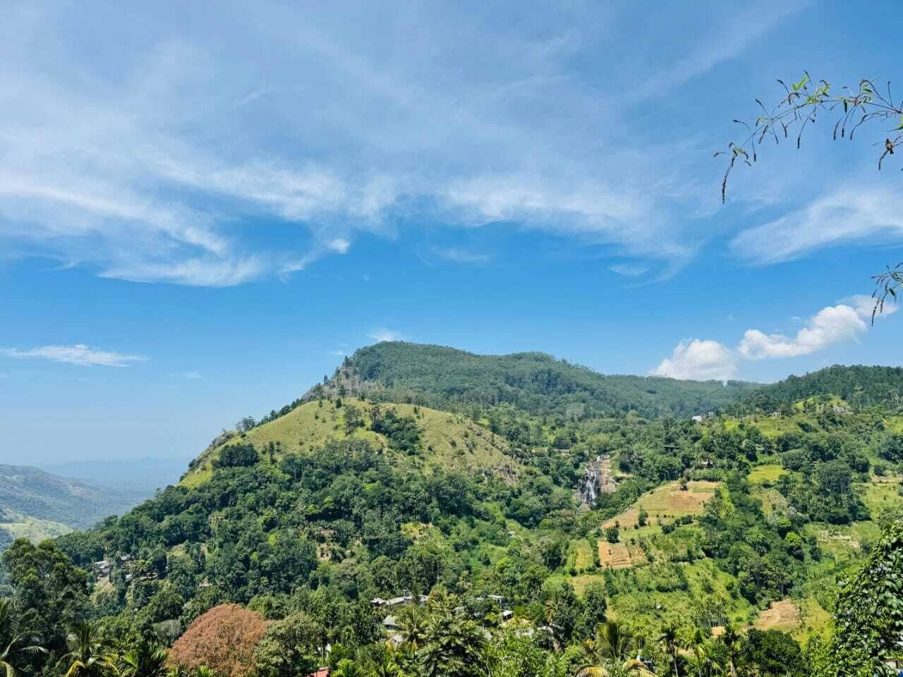 منوع