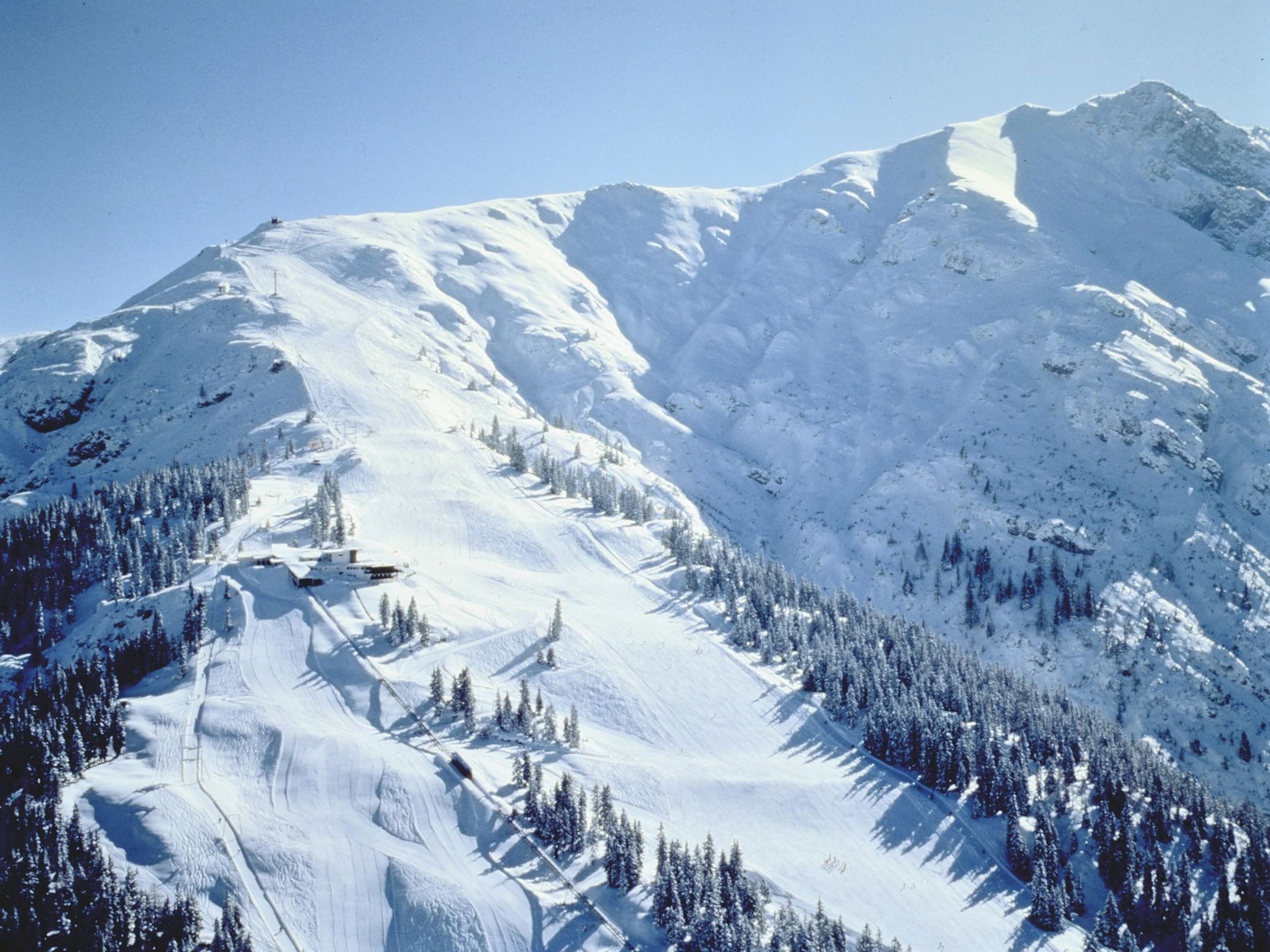 A snow-covered mountain with ski trails and trees.