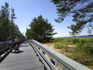 Une promenade en bois bordée de rampes, entourée d’arbres et menant à un plan d’eau.