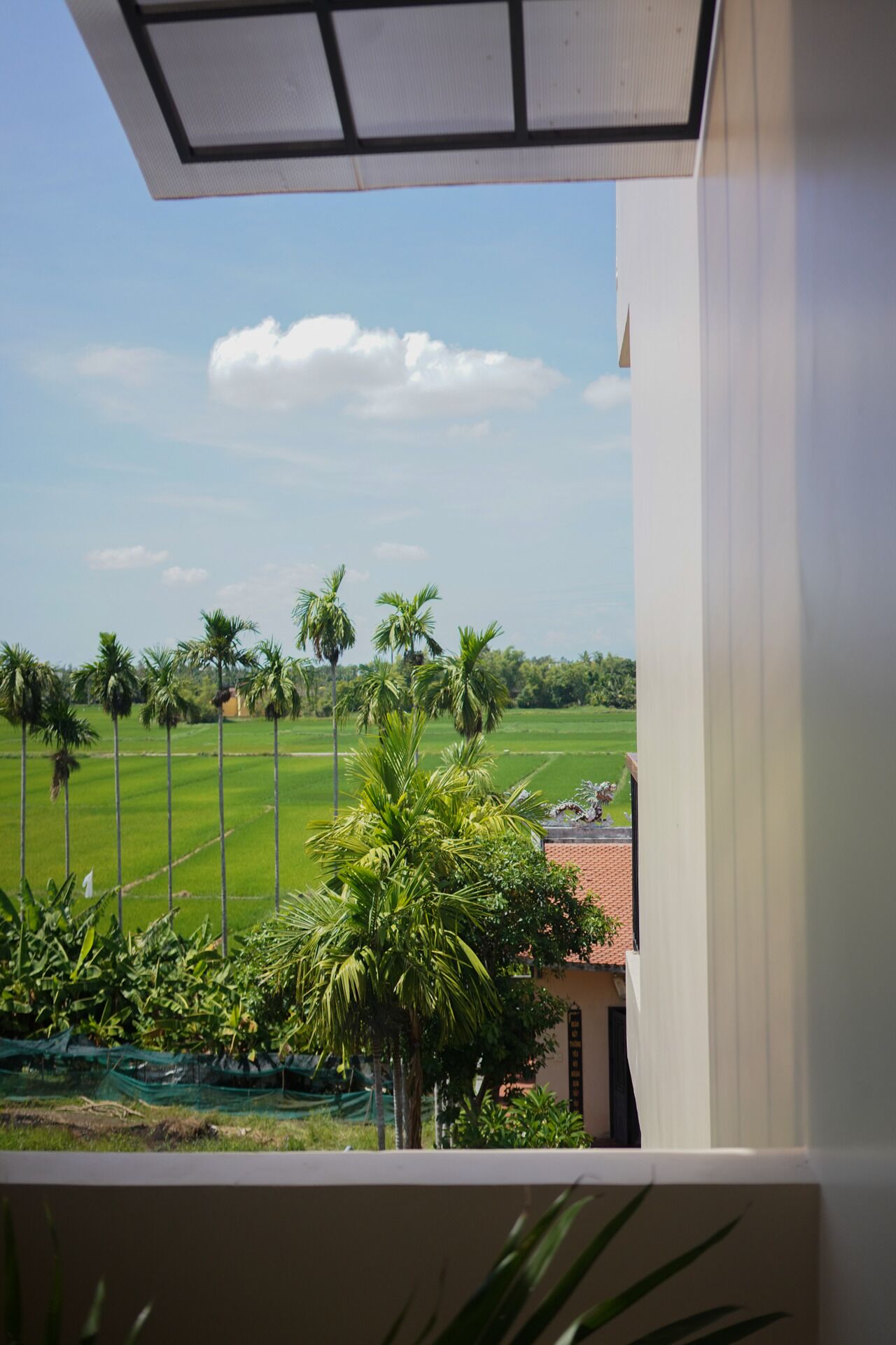 A view from a balcony overlooking a green field with palm trees and a building with a red roof.