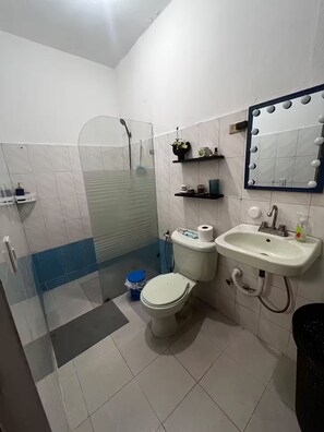 Ein Badezimmer mit Toilette, Waschbecken, Dusche und einem Schminkspiegel.