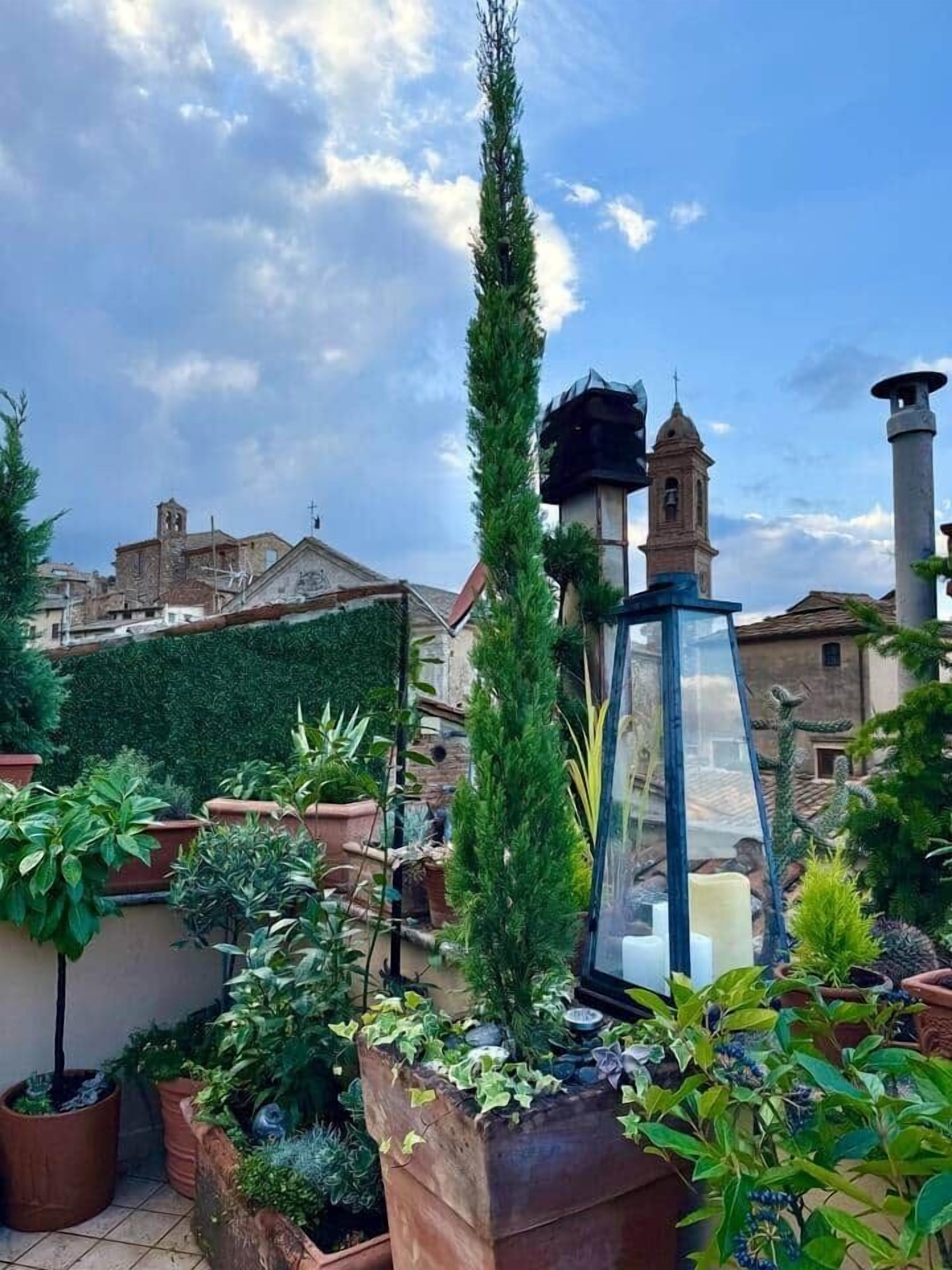 A rooftop garden with potted plants, a tall conifer, and a bell tower in the background.