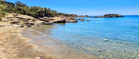 Sur la plage, sable blanc, serviettes de plage, 2 bars sur la plage