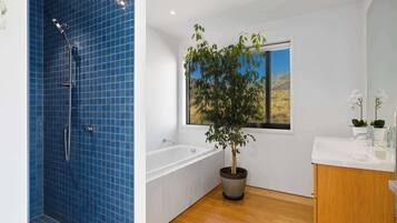 Shower, hair dryer, towels, shampoo