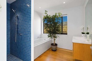 Shower, hair dryer, towels, shampoo