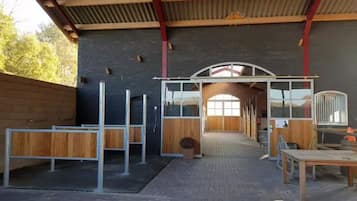 Área da propriedade