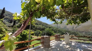 A terrace with a view of a vineyard and hills. - Country House 'Ktima Kariofillis' with Mountain View and Private Terrace (Révmata)