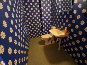 Shower, hair dryer