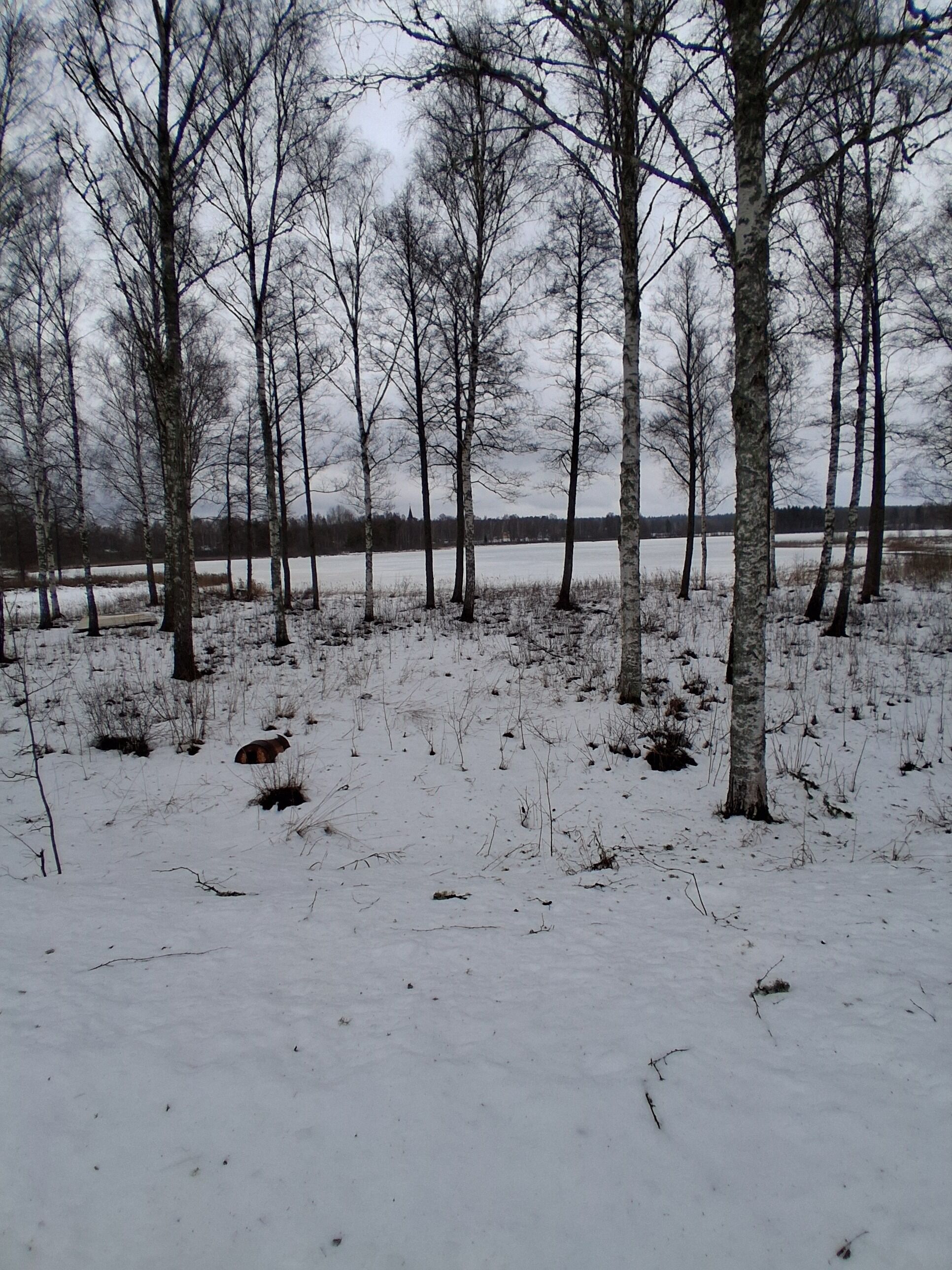 Un paysage enneigé avec des arbres et une étendue d’eau gelée.