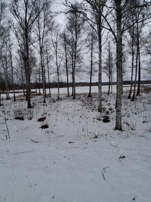 Miscellaneous - Welcome to Fagelfors in the heart of Smaland Kalmar Län, southern Sweden. (Fagelfors)