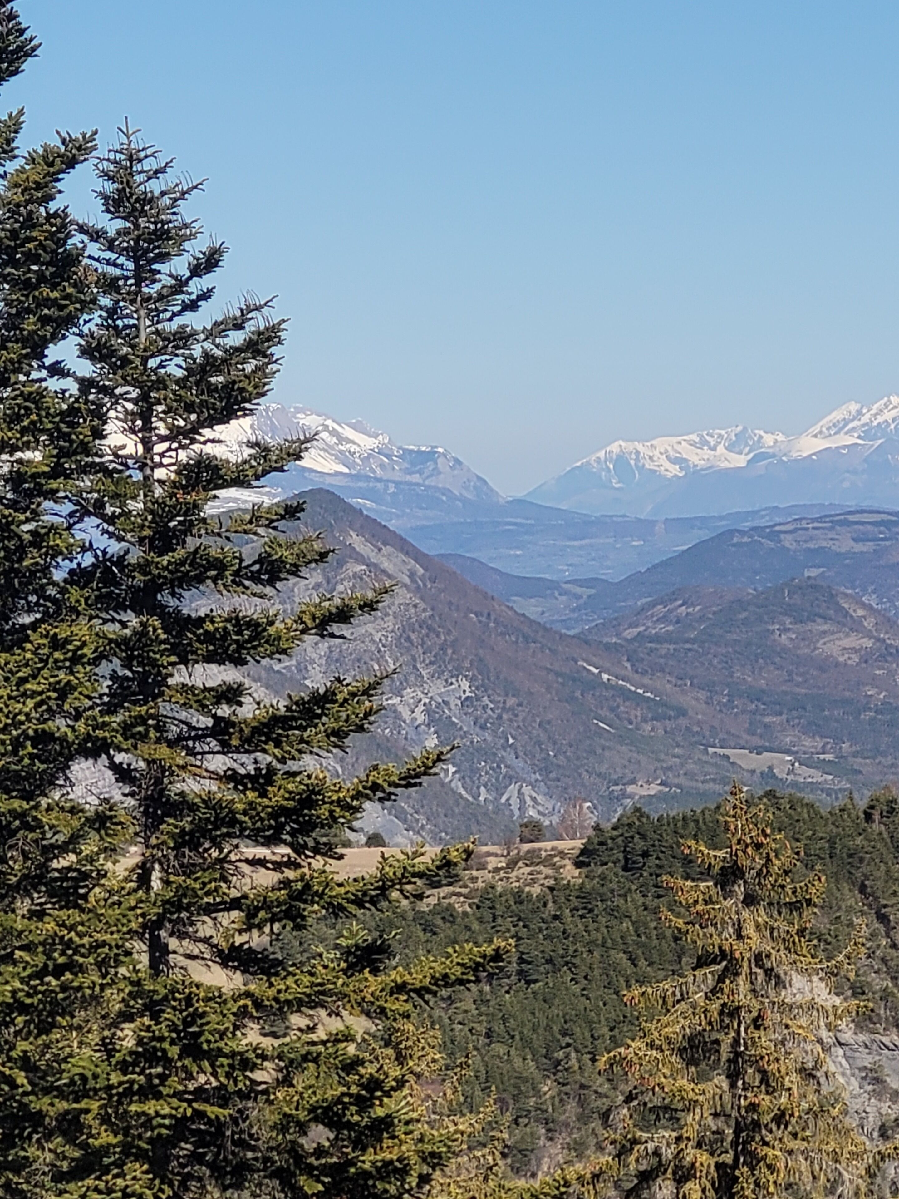 A mountainous landscape with snow-capped peaks and dense forests.