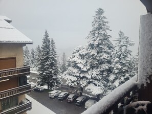 Property grounds - Cosy apartment, superb view at the foot of the slopes. (Selonnet)
