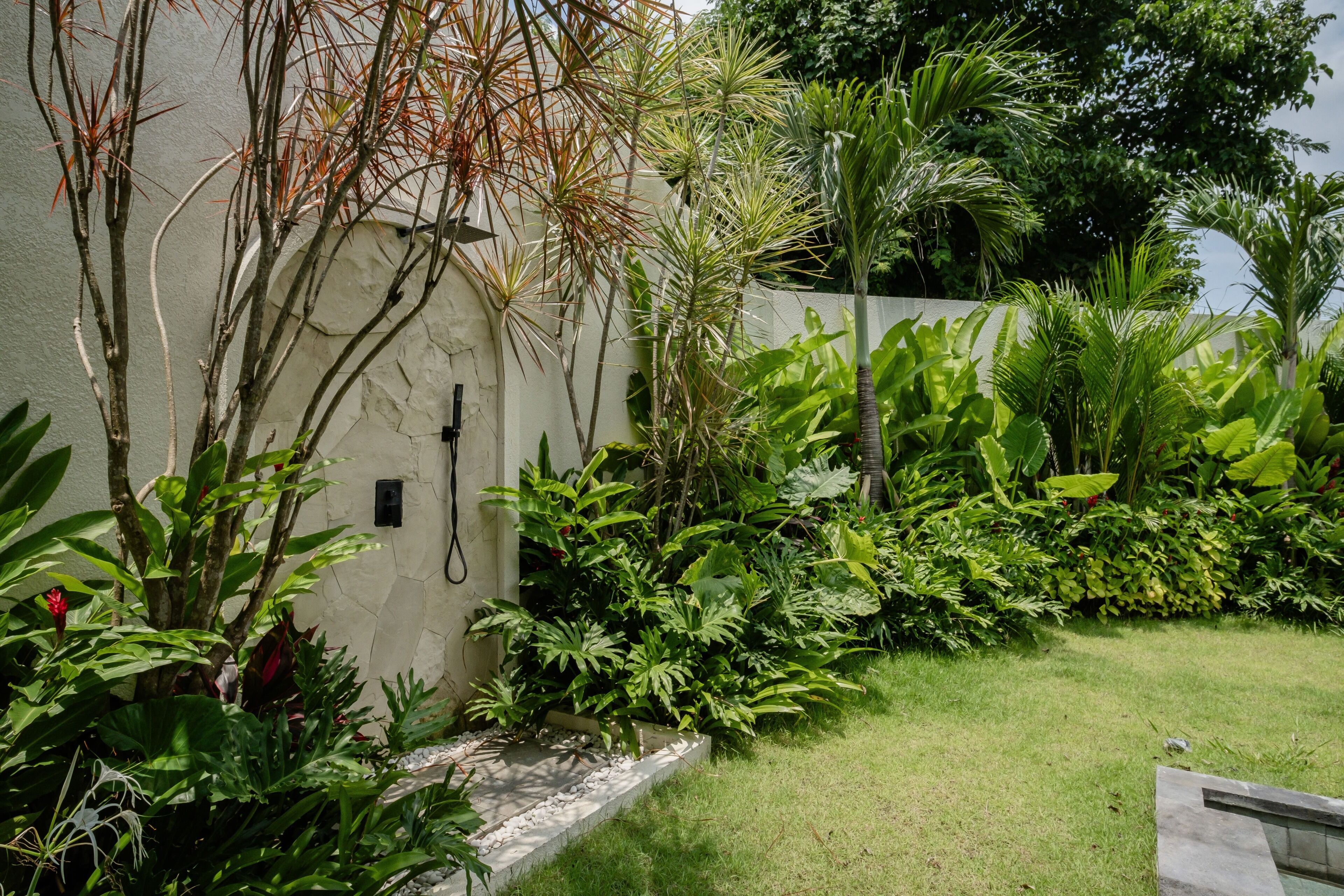 A garden with various plants and a stone wall.