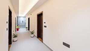 Un pasillo con paredes blancas, puertas de madera y plantas en macetas.