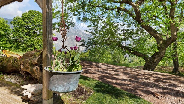 Een houten pergola met een hangende bloempot, een grote boom en een berg op de achtergrond.